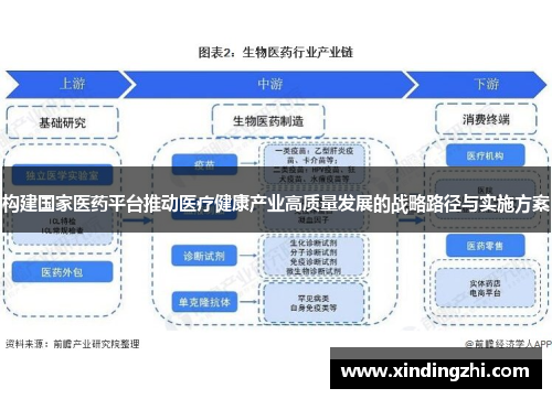 构建国家医药平台推动医疗健康产业高质量发展的战略路径与实施方案